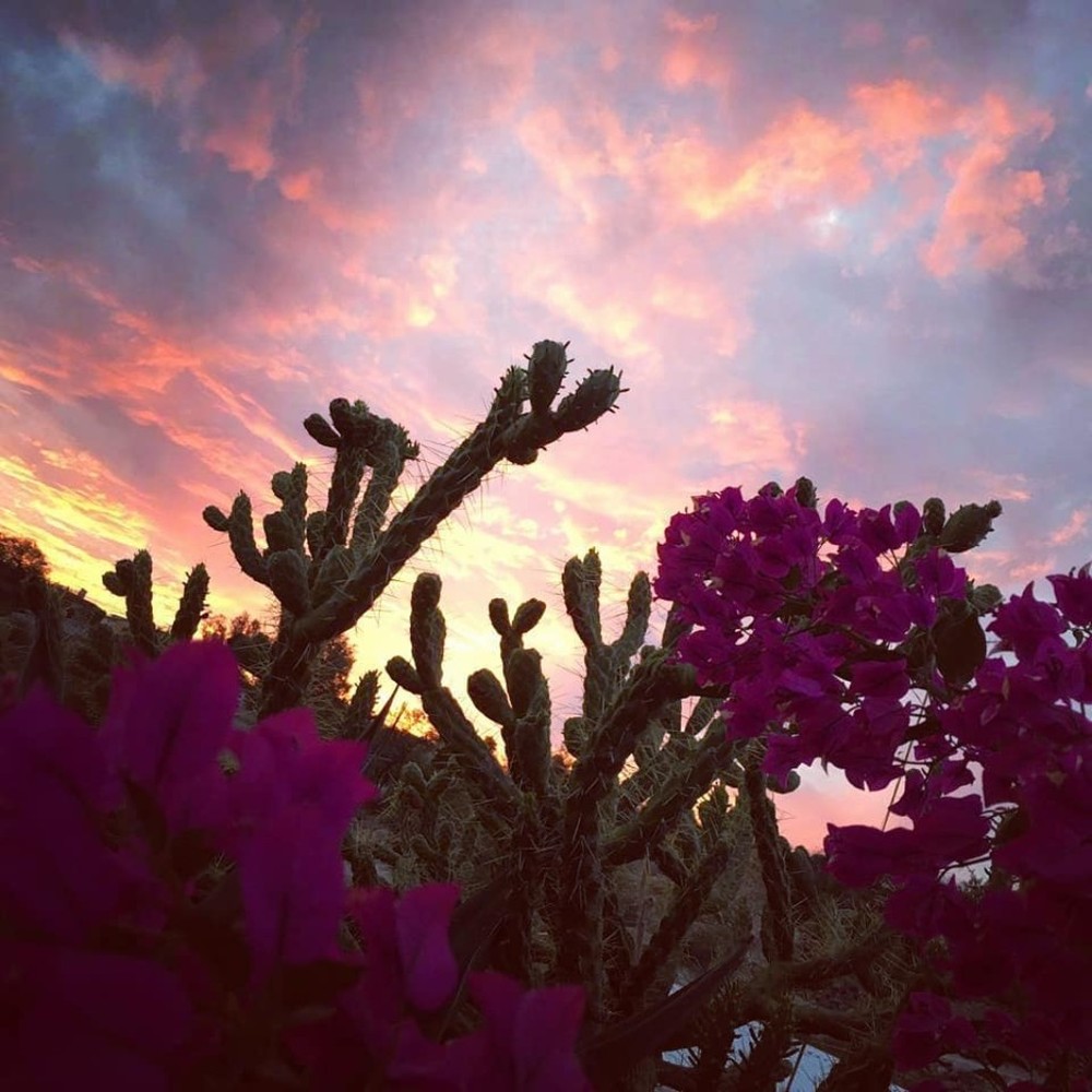 Meet your Posher, Sharon